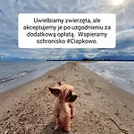 Daire Przy Tezni *