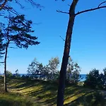 Przy Tezni Daire