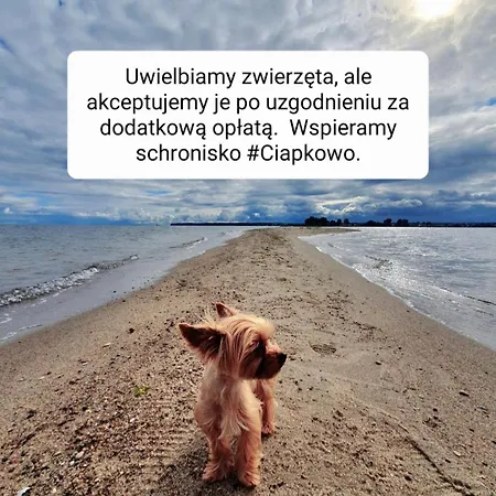 דירה Przy Tezni *