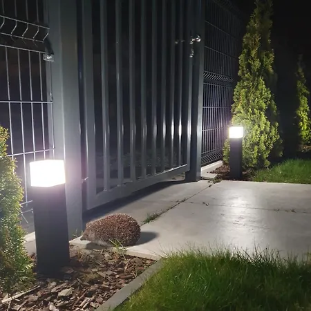 Przy Tezni קארוויה