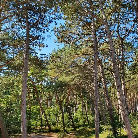 דירה Przy Tezni קארוויה