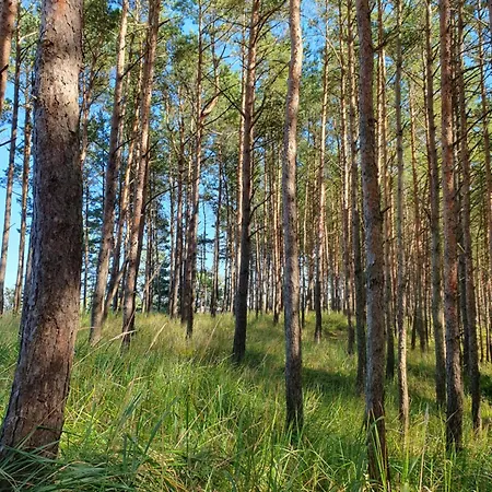 Przy Tezni * קארוויה