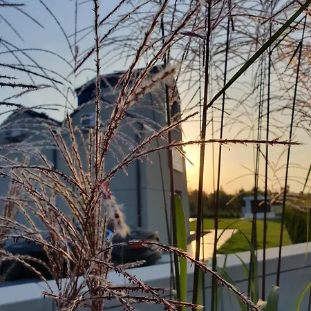 Apartament Przy Tężni