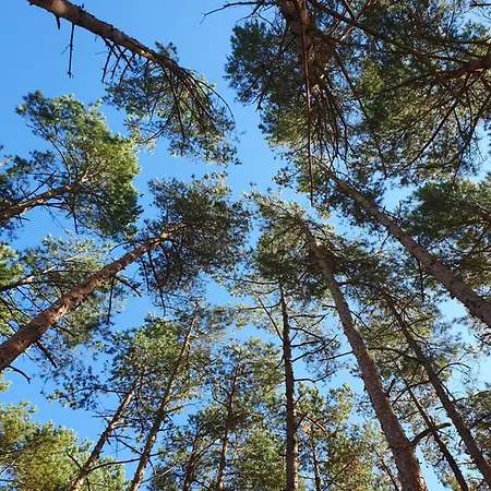 Przy Tezni דירה קארוויה