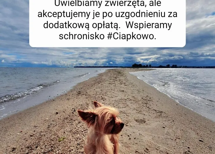 Appartamento Przy Tezni *