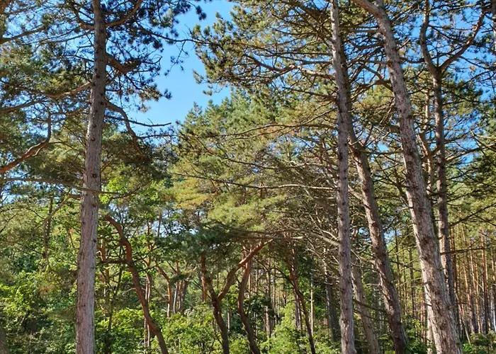 Appartamento Przy Tezni Karwia