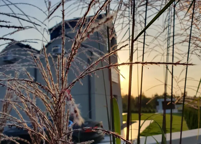 Апартаменты Przy Tezni