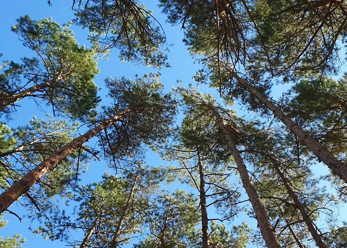 Przy Tezni Appartamento Karwia