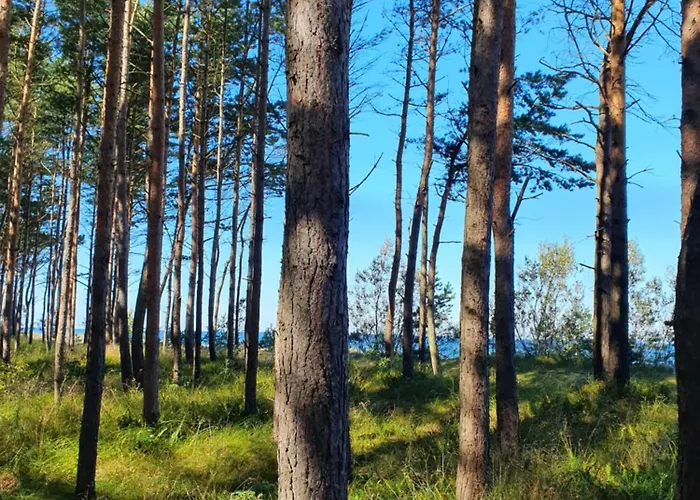 Appartamento Przy Tezni